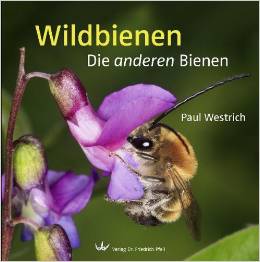 thumbnail - Wildbienen - Die andere Bienen